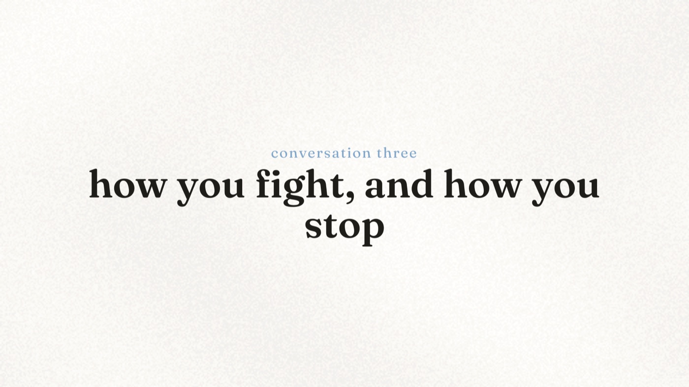 Chapter card reading 'conversation three, how you fight, and how you stop'